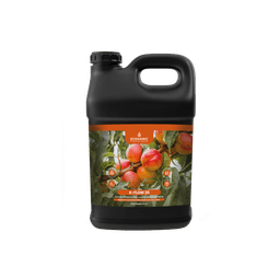 K-FLOW 20