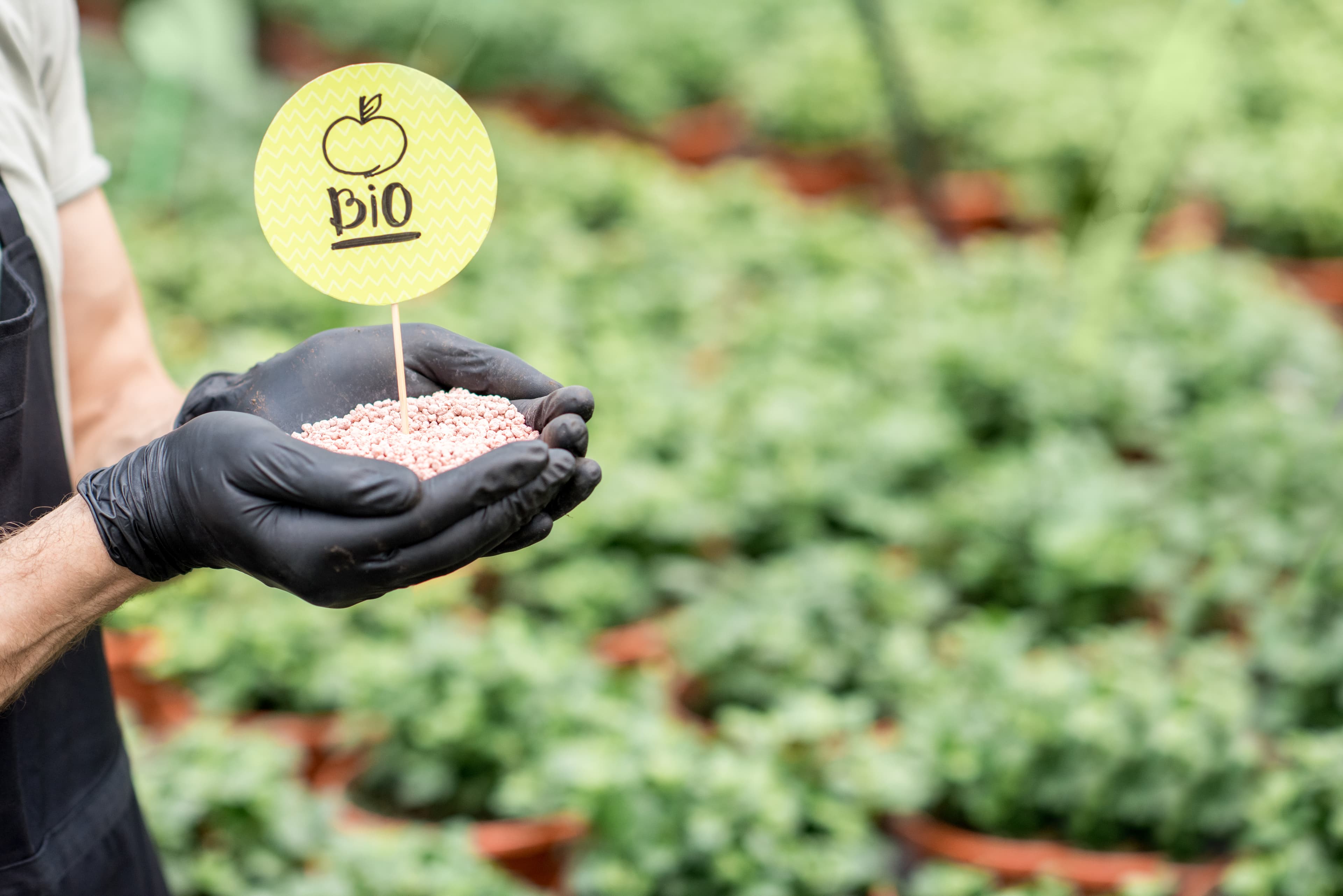 Fertilizante ecológico Ecoganic