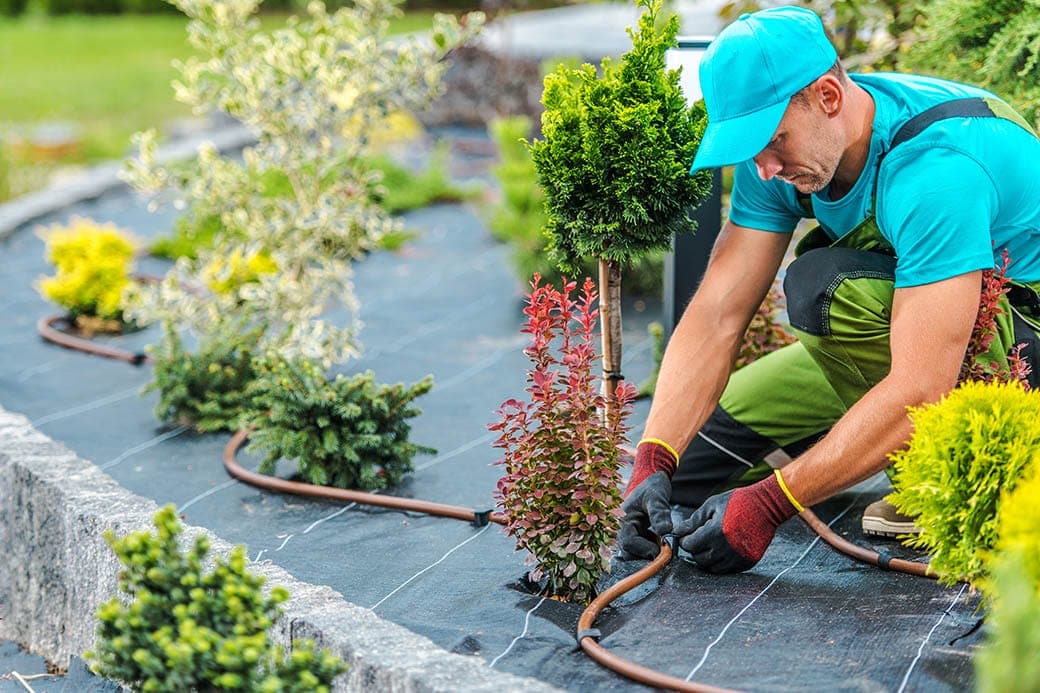 Sistema de fertirrigación con fertilizantes Ecoganic